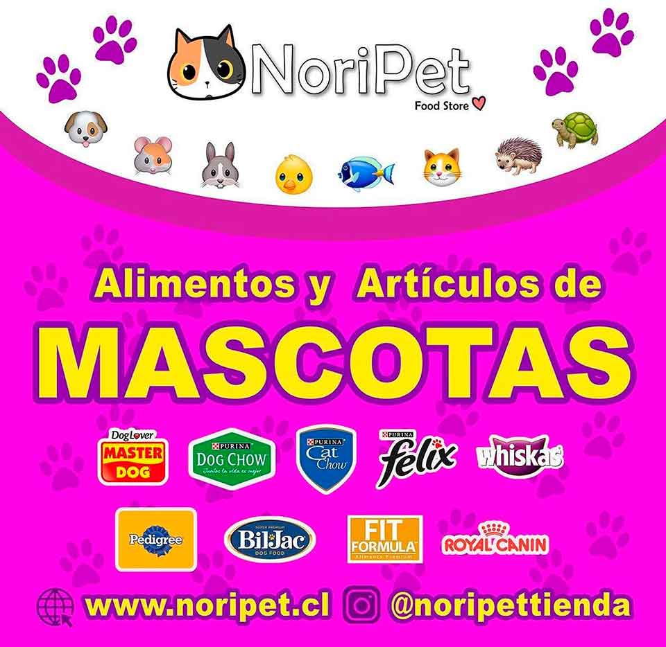 noripet mascotas