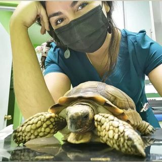 Veterinara_Daniela_guerra_exoticos, macotas