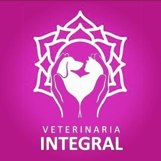 veterinaria_integral_puerto_varas_examenes