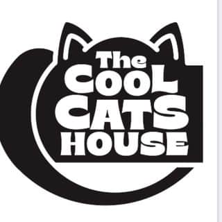 The Cool Cats House