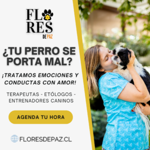 Terapia emocional y conductual para animales, con flores de Bach!