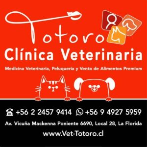 Veterinaria Totoro