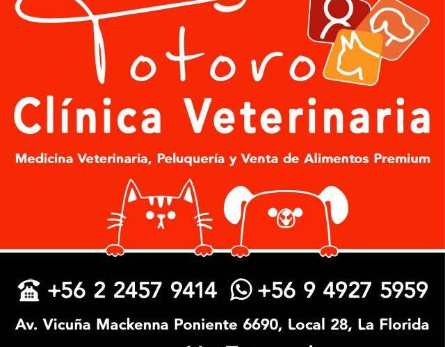 Veterinaria Totoro