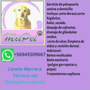 Peluquería canina y felina a domicilio