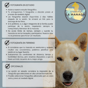 FOTOGRAFÍA PROFESIONAL PARA MASCOTAS