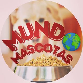 Mundo Mascotas