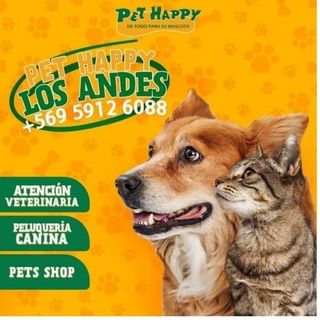 Pet happy Los Andes