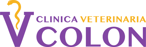 Clinica Veterinaria Colon