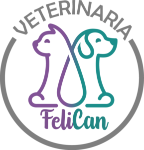 Veterinaria Felican