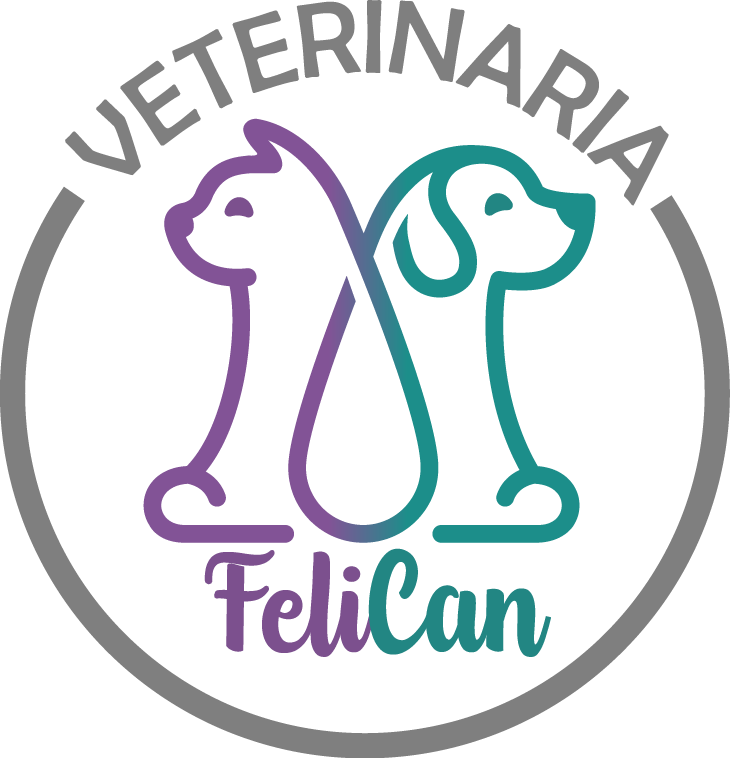 veterinaria felican