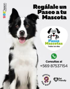 Paseo de mascotas