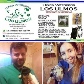 Clinica veterinaria los ulmos