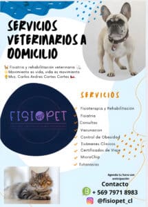 Servicio veterinario a domicilio