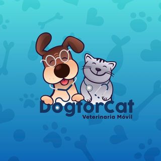 Veterinaria Movil DogtorCat