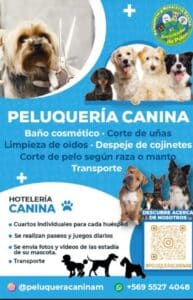 Peluquería y Hotelería Canina El Encantador de Pelos