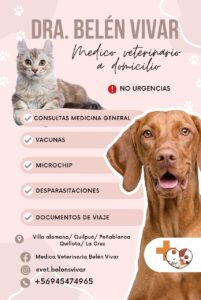 Médico Veterinario a domicilio Dra. Belén Vivar