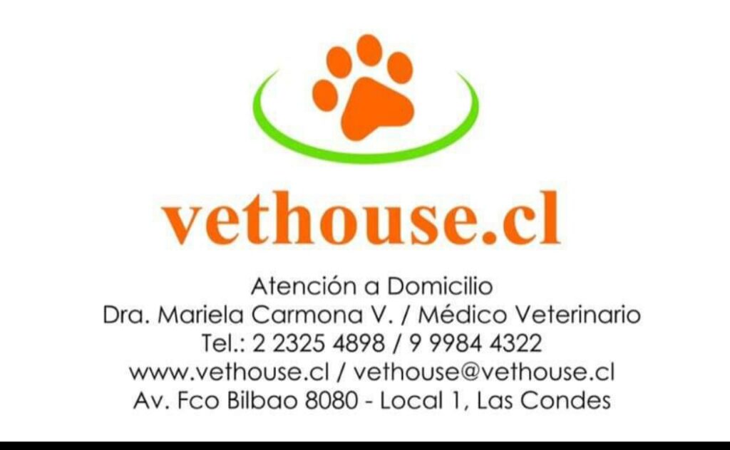 Vethouse Veterinaria